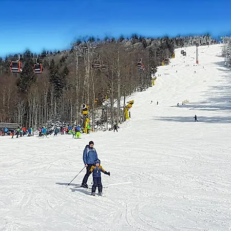 Chalex Chalet Aigen im Muehlkreis