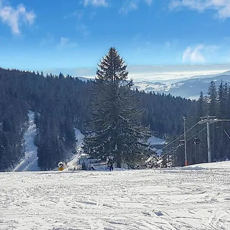 Chalex * Aigen im Muehlkreis