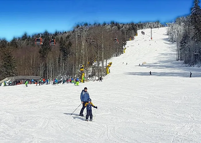 Chalex Chalet Aigen im Muehlkreis