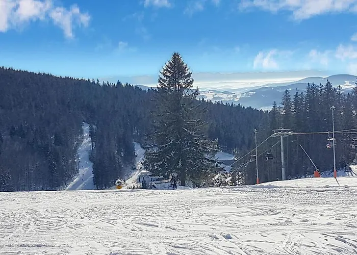 Chalex * Aigen im Mühlkreis