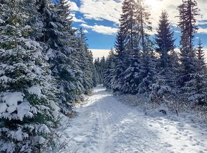 Chalex Alpstuga Aigen im Mühlkreis